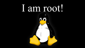 i-am-root-copy