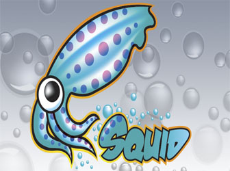 squid3