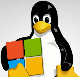 winlinux